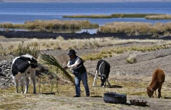 Cambio climático podría aumentar número de muertes relacionadas con conflictos, afirma el FMI