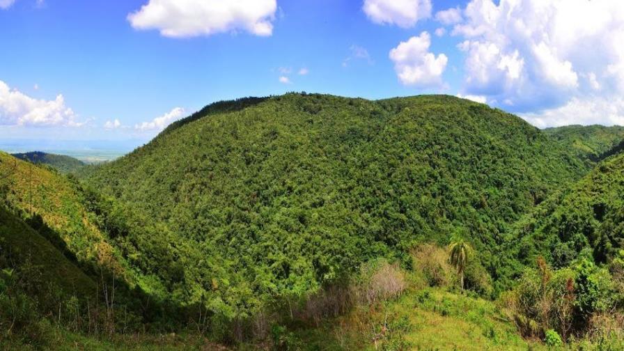 Senado aprueba proyecto de ley que crea el Parque Nacional Loma Miranda