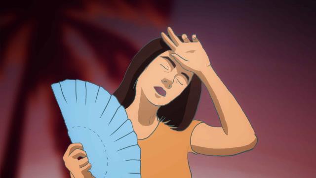 Mi menopausia y yo