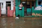 Más de 1,000 casas afectadas por la tormenta Idalia en la región cubana de Pinar del Río Más de 1,000 casas afectadas por la tormenta Idalia en la región cubana de Pinar del Río