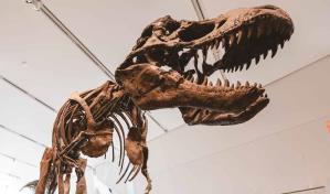Las andanzas de los dinosaurios dejaron un legado compartido entre Patagonia y Australia