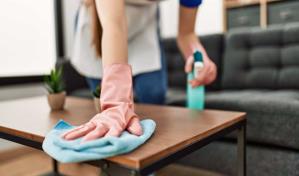 Limpieza ecológica: productos naturales para tu hogar