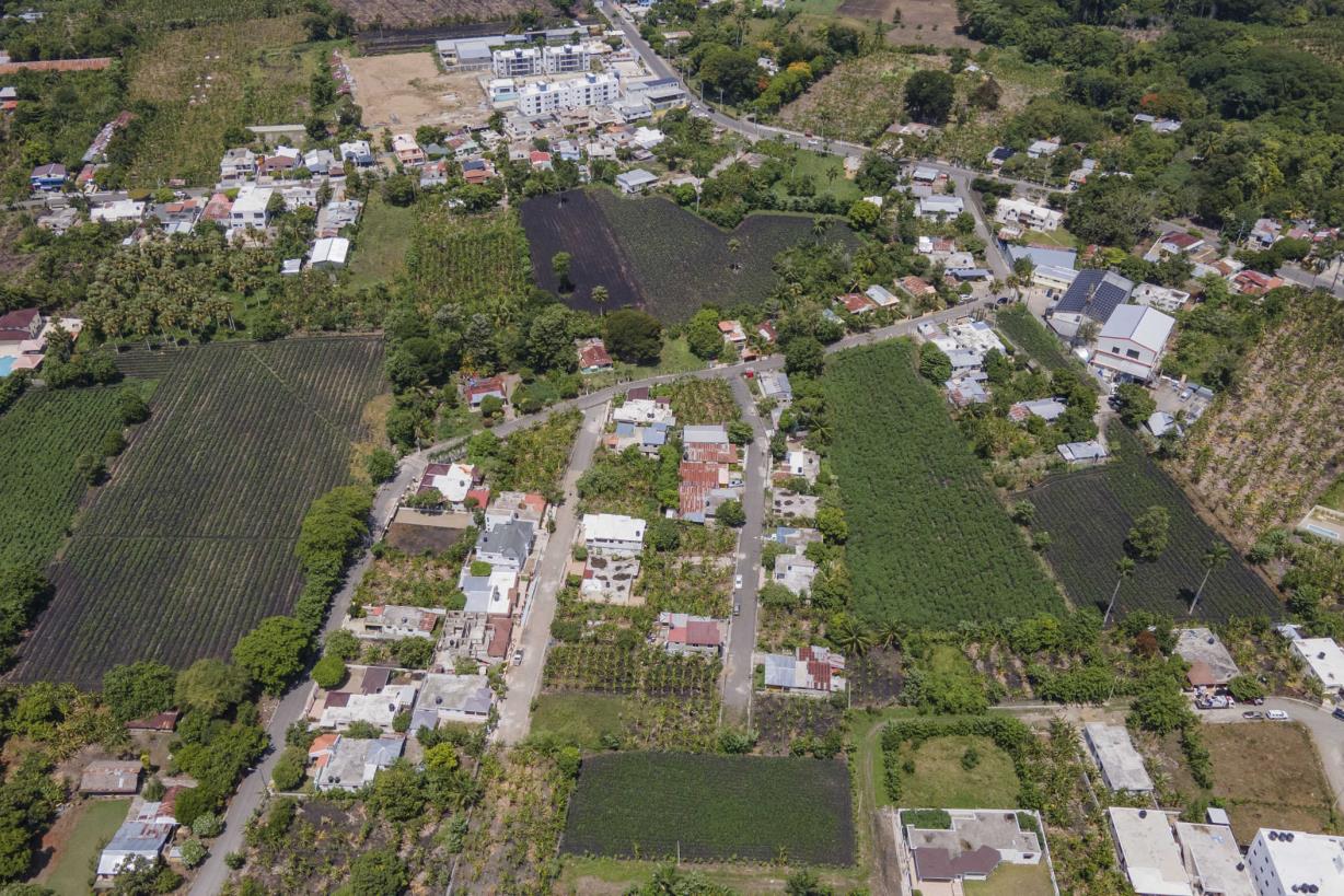 La explosión inmobiliaria se come terrenos agrícolas dominicanos