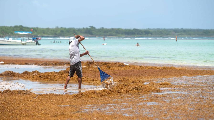 Anamar y Salud Pública serán integrados al Gabinete del Sargazo