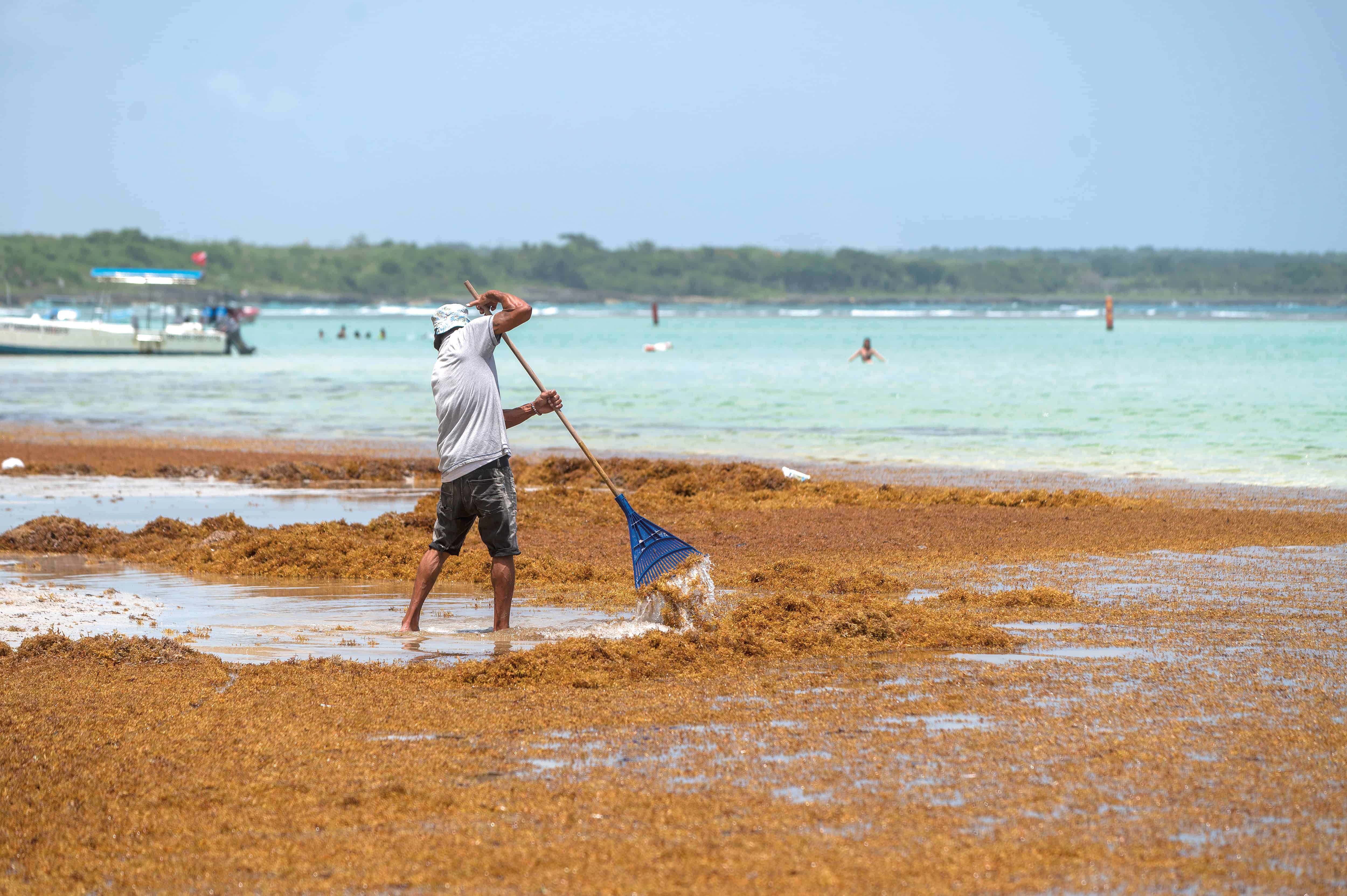 [object HTMLTextAreaElement]