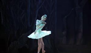 La belleza del Lago de los cisnes en una noche de danza