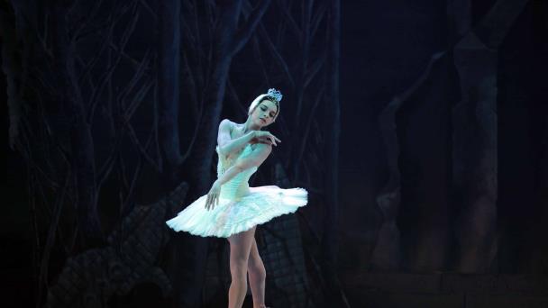 La belleza del Lago de los cisnes en una noche de danza