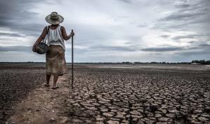 El FMI y el Banco Mundial se comprometen a colaborar en cambio climático, deuda y transición digital