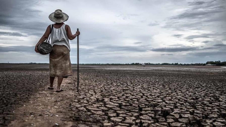 El FMI y el Banco Mundial se comprometen a colaborar en cambio climático, deuda y transición digital