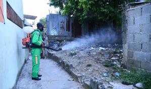 Sociedad de Pediatría advierte brote de dengue no ha alcanzado su pico máximo
