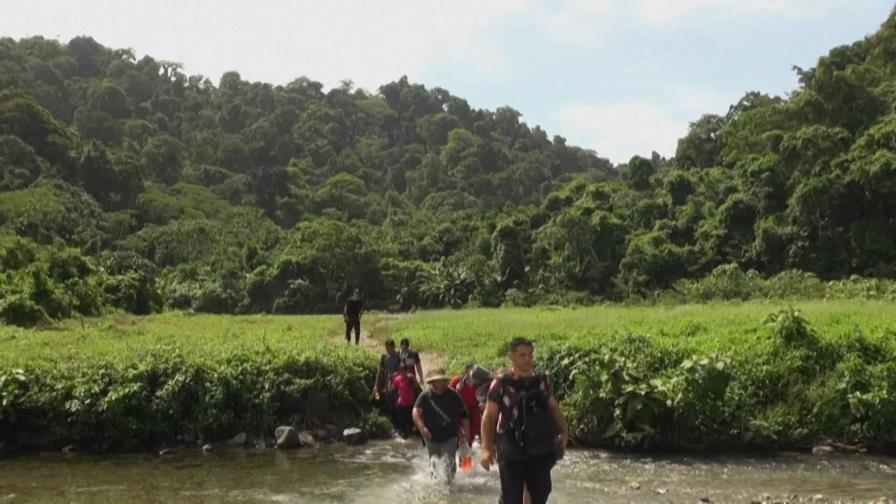 Panamá deportará a migrantes que ingresan irregularmente por la selva de Darién