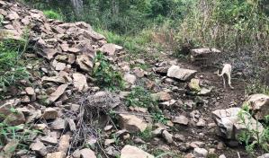 Agricultures demandan reparación de caminos de Viajama-La Lagunita en Azua