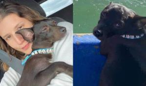 El emotivo reencuentro de la perrita Maia con su dueña tras tres semanas desaparecida en Atlanta