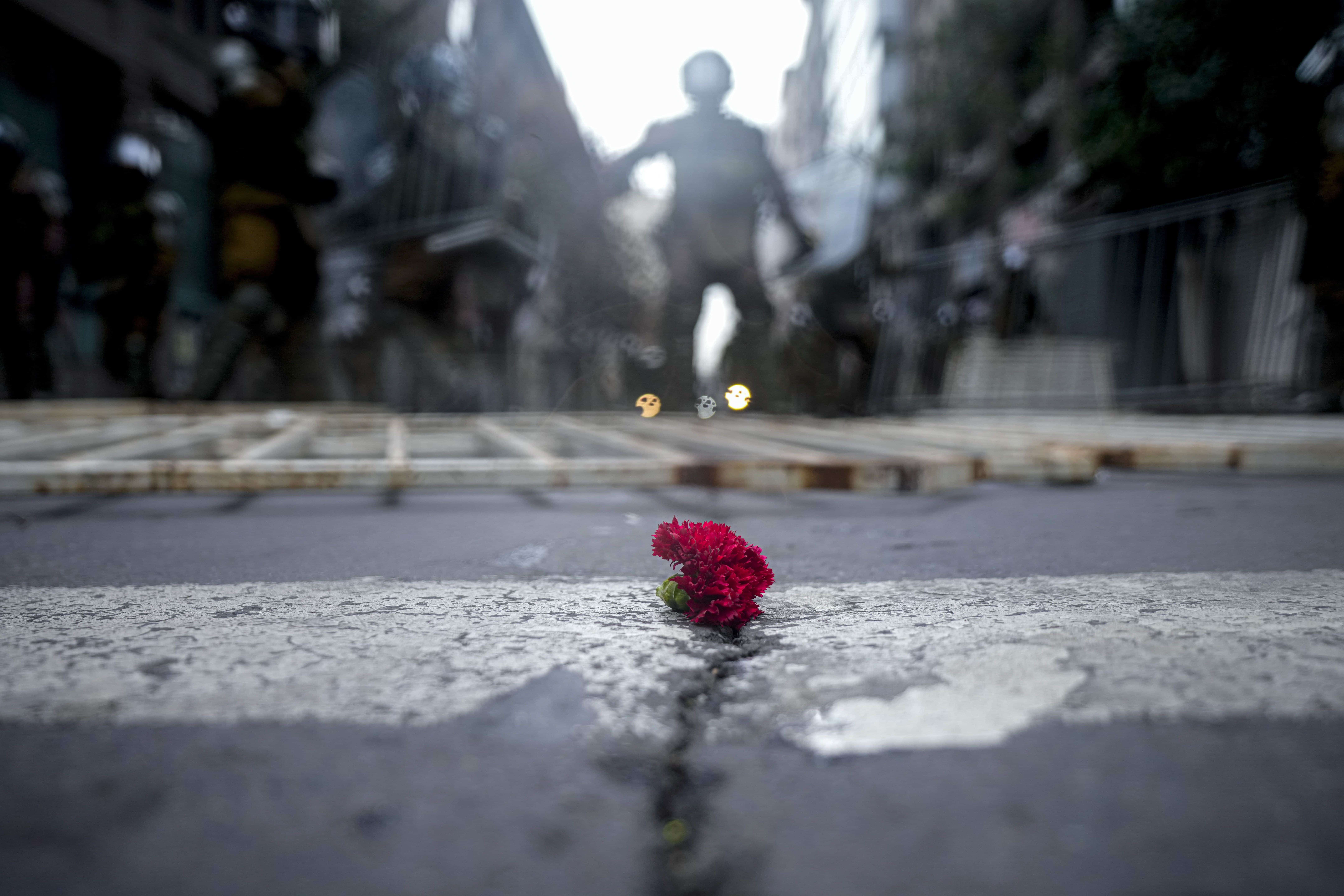 Una flor colocada en la calle durante una manifestación que conmemora el 50 aniversario del golpe militar de 1973 liderado por el general Augusto Pinochet frente al palacio presidencial de La Moneda en Santiago, Chile, el domingo 10 de septiembre de 2023.