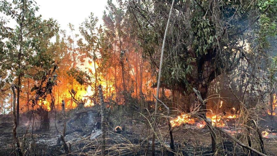 Incendio afecta área recreativa en loma Guaigüí