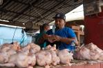 Disminuye la oferta de pollos en el mercado local