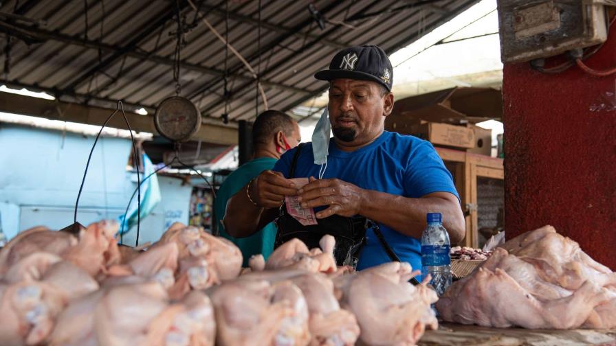 Disminuye la oferta de pollos en el mercado local