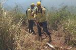 Reportan incendio forestal en Loma de Guaigüí fue controlado en 100%