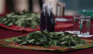 Bolivia inicia campaña de reflexión sobre la equívoca condena mundial a la hoja de coca