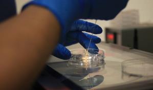 La frontera de M&eacute;xico se afianza como destino para estadounidenses que buscan un embarazo