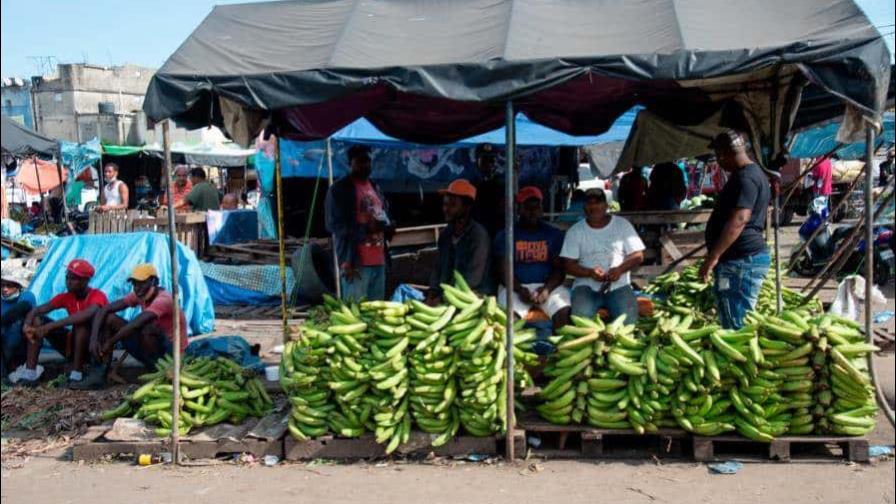 Gobierno suspende exportación de plátanos para garantizar estabilidad de precios