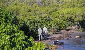 Unidad mixta de la Armada y Ejército vigila desembocadura del río Masacre en Manzanillo
