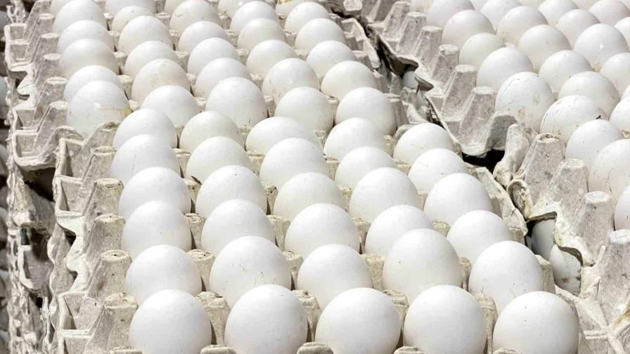 República Dominicana vende a Haití cerca de 30 millones de huevos mensuales