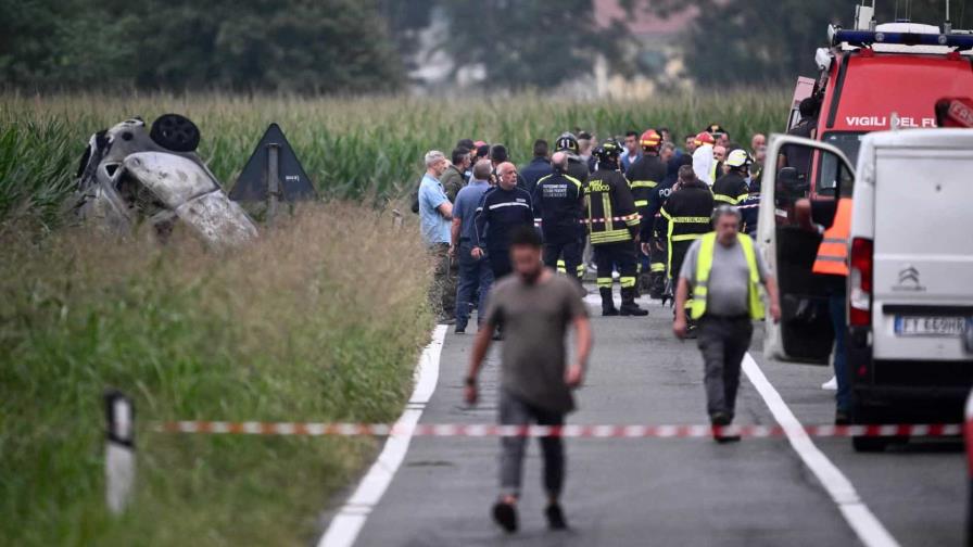 Una bandada de pájaros provocó el accidente aéreo el que murió una niña en Turín