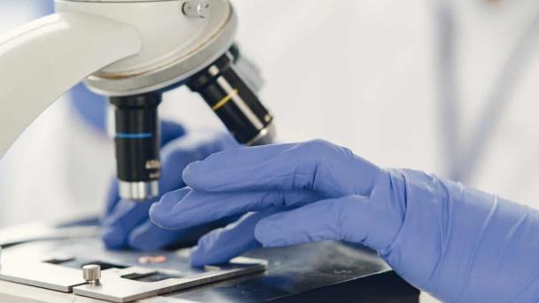 Una bacteria intestinal que contiene ácido sulfúrico nos protege contra la salmonella