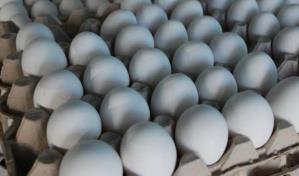 Productores: huevos se están pudriendo en las granjas por cierre de la frontera