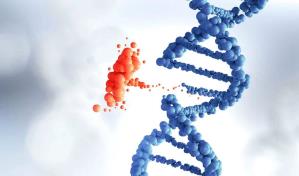 Inteligencia artificial para identificar mutaciones en proteínas que pueden causar enfermedades
