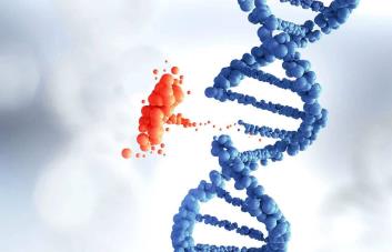 Inteligencia artificial para identificar mutaciones en proteínas que pueden causar enfermedades