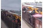 Migrantes celebran a bordo de un tren que los cruzará ilegalmente a EE.UU. desde México Migrantes celebran a bordo de un tren que los cruzará ilegalmente a EE.UU. desde México