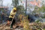 Alertan de la dimensión de la contaminación generada por los incendios Alertan de la dimensión de la contaminación generada por los incendios