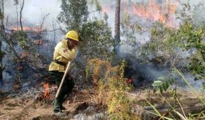 Alertan de la dimensión de la contaminación generada por los incendios