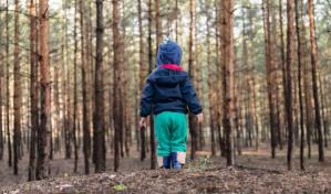 Niña de 2 años perdida en bosque de Michigan es encontrada dormida sobre uno de sus perros