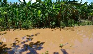 Productores agropecuarios de Ca&ntilde;ongo ser&iacute;an los m&aacute;s afectados con construcci&oacute;n de canal