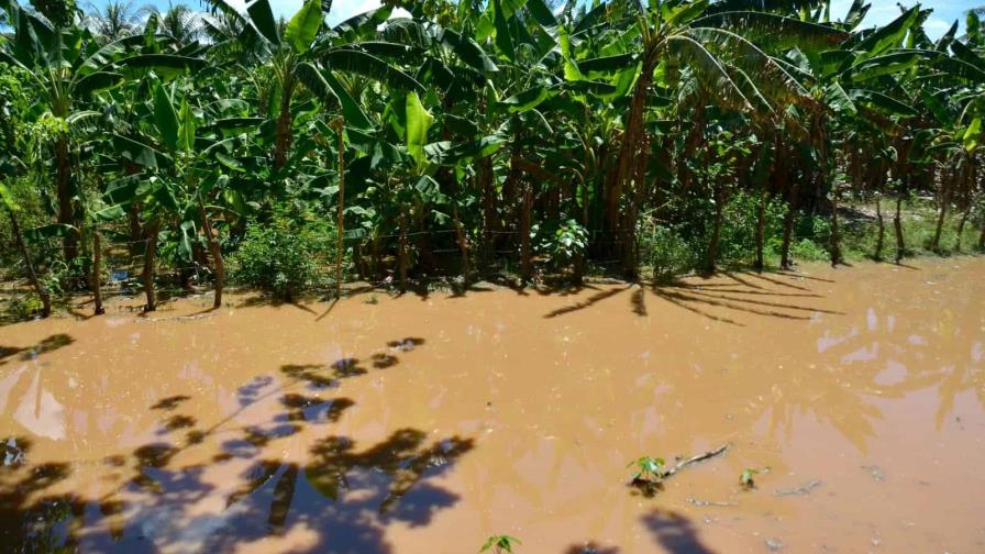 Productores agropecuarios de Cañongo serían los más afectados con construcción de canal