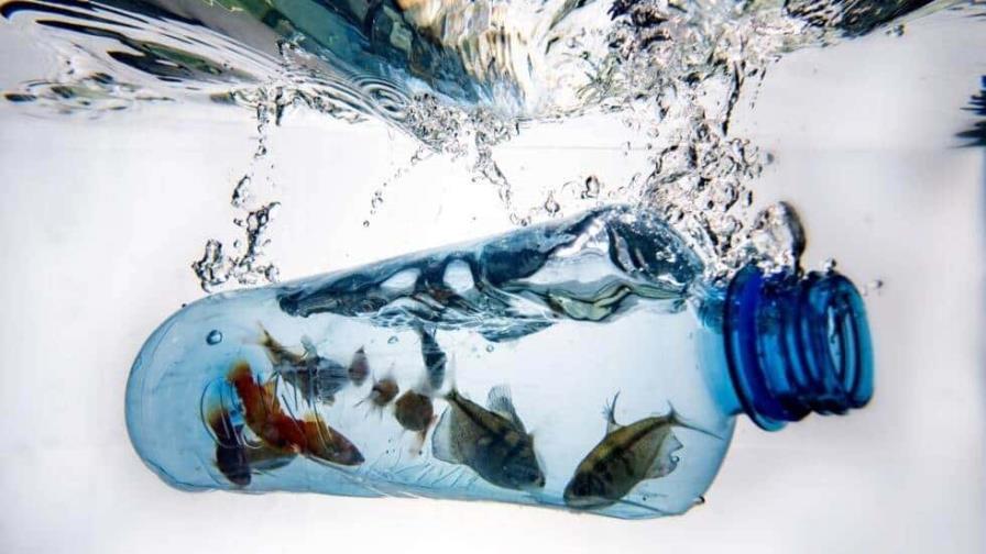 No bastará solo con el reciclaje de plásticos, advierte jefa de ONU-Medioambiente