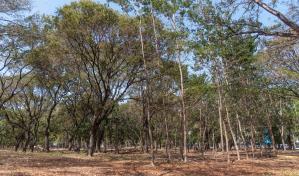 Este sábado concluye el verano más cálido de la historia e inicia un otoño “mas fresco”