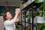 Las plantas ideales para purificar el aire en tu hogar Las plantas ideales para purificar el aire en tu hogar