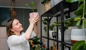 Las plantas ideales para purificar el aire en tu hogar