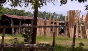 Dajabón: fuegos provocados impactan más de 20 mil tareas de áreas boscosas