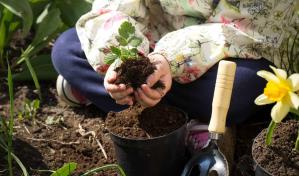 Jardiner&iacute;a ecol&oacute;gica: evita los qu&iacute;micos