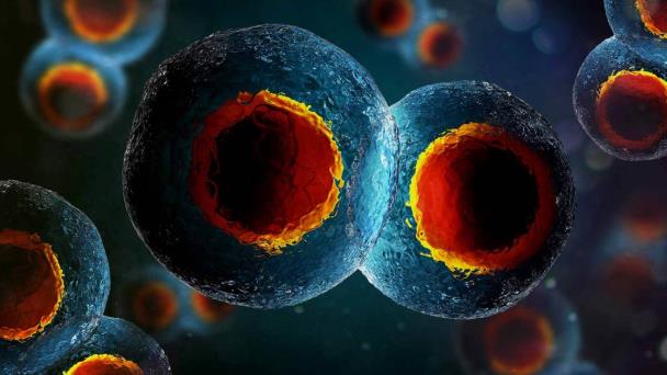 ¿Cuántas células tiene el cuerpo humano?