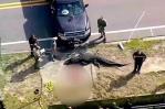 Identifican a mujer de 41 años como víctima mortal de posible ataque de caimán en Florida Identifican a mujer de 41 años como víctima mortal de posible ataque de caimán en Florida