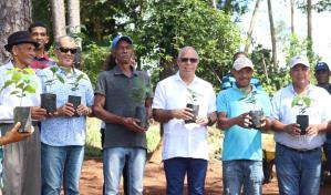 Director de Desarrollo Fronterizo entrega plantas de caf&eacute; en Dajab&oacute;n