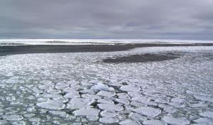 La superficie de la banquisa ant&aacute;rtica cae en niveles extraordinariamente an&oacute;malos