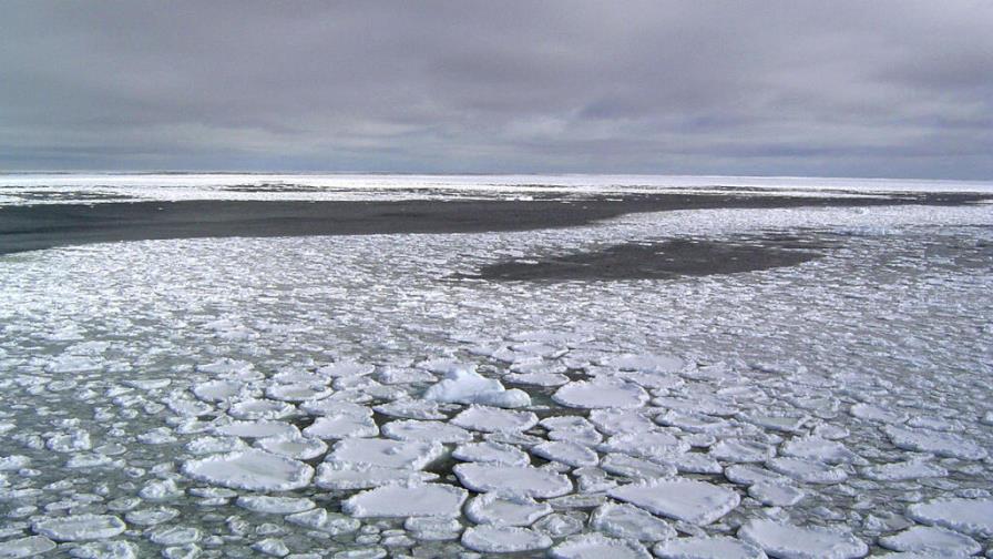 La superficie de la banquisa antártica cae en niveles extraordinariamente anómalos