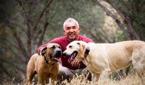 Instituto del Caucus Hispano del Congreso otorga medalla de excelencia a César Millán